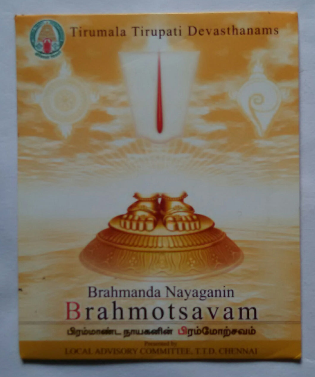 Brahmanda Nayaganin  Brahmotsavam 